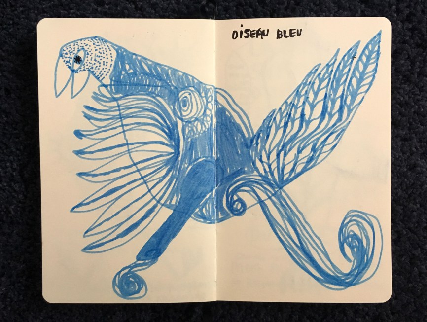 oiseau bleu.jpg