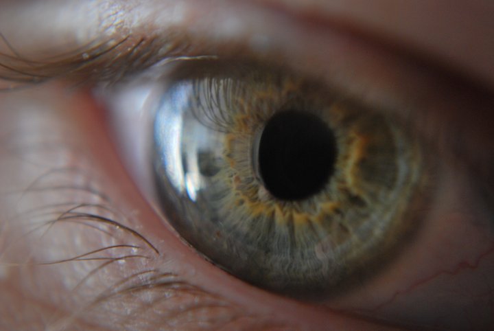 221906_10150182323858514_548718513_6803792_4201895_n