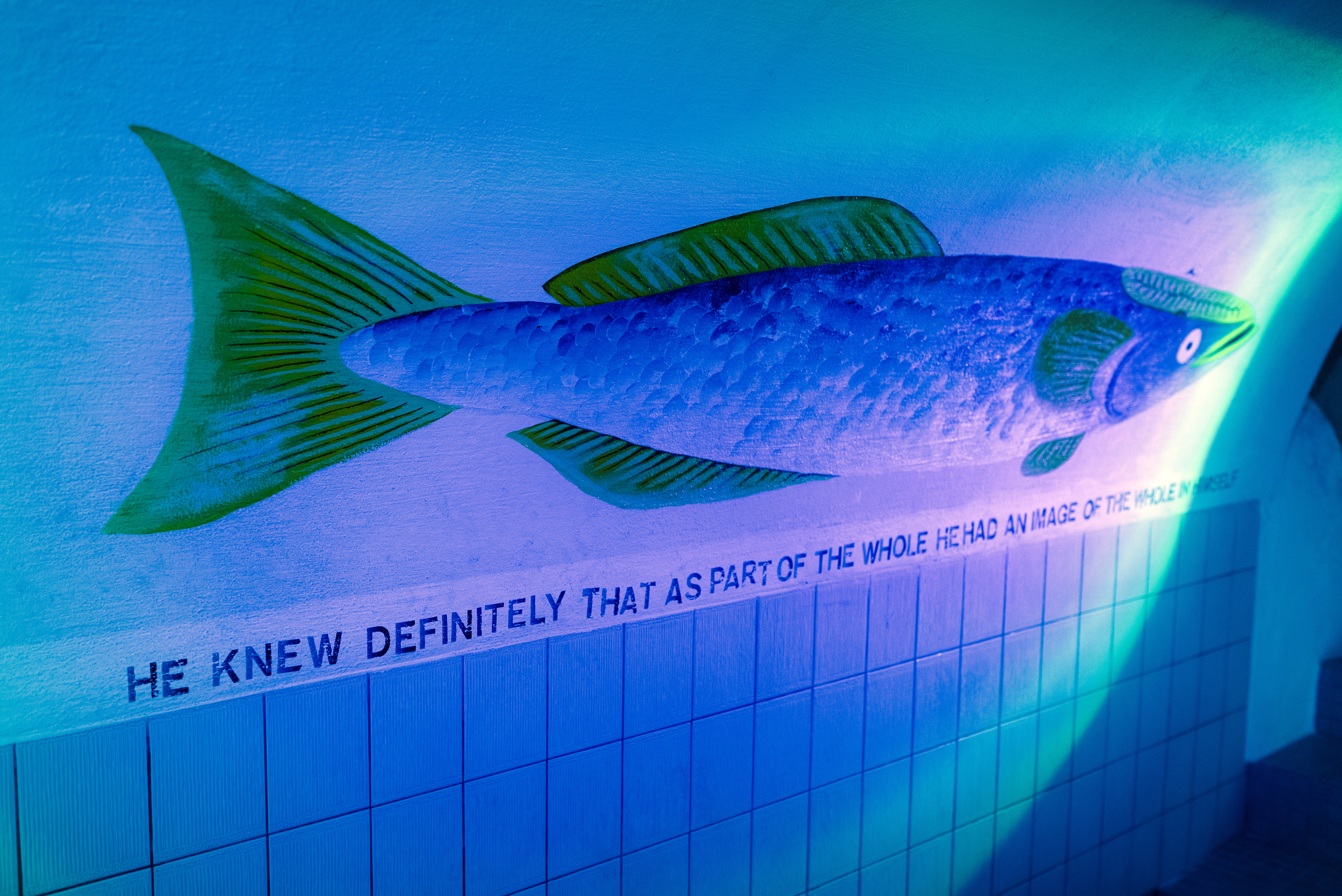 np_0123_BzR_Flow-Selbst_3657