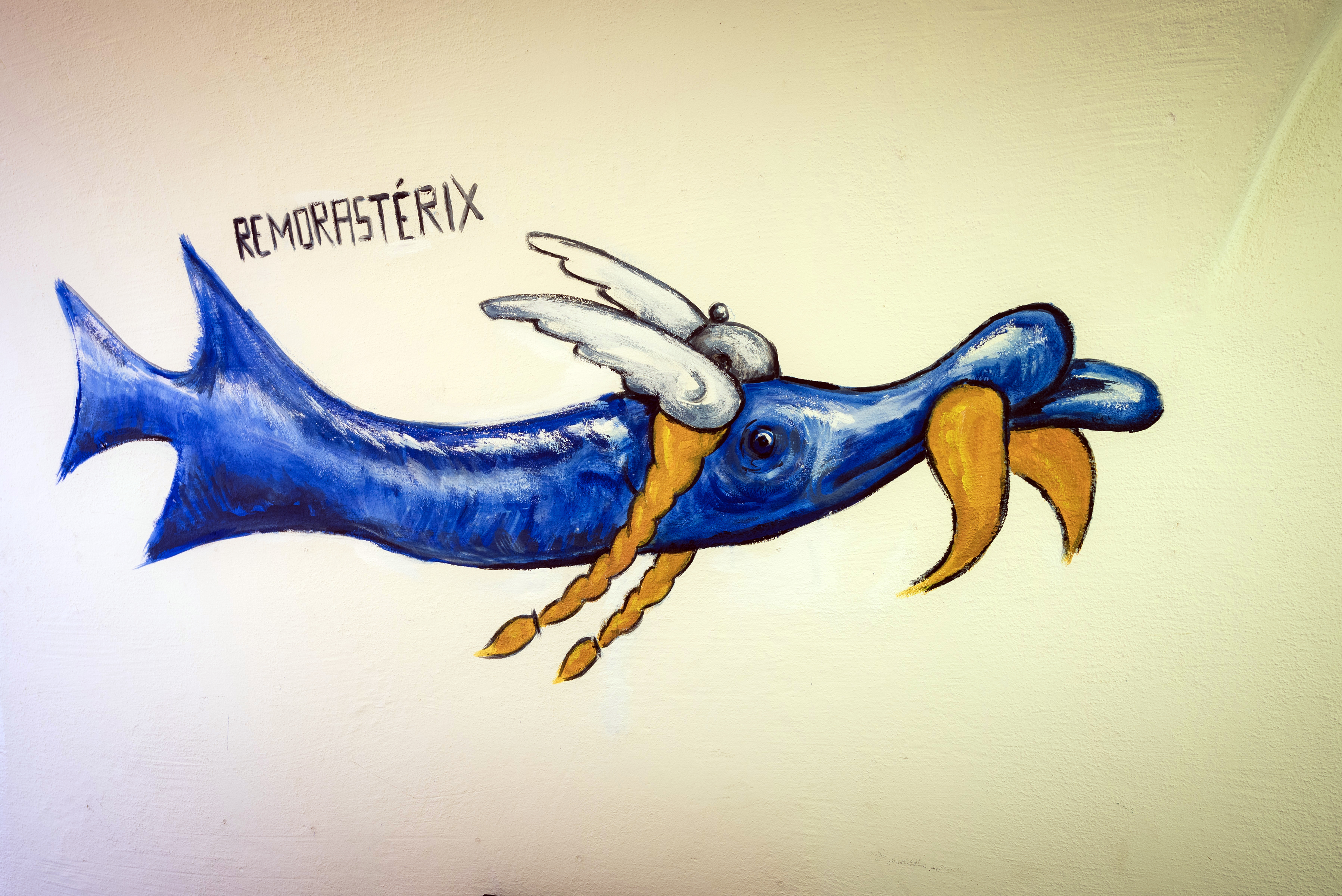 np_0123_BzR_Flow-Selbst_3911