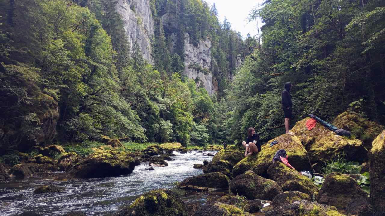 b77ee446-a9d1-4b63-9b0d-9474719f5104